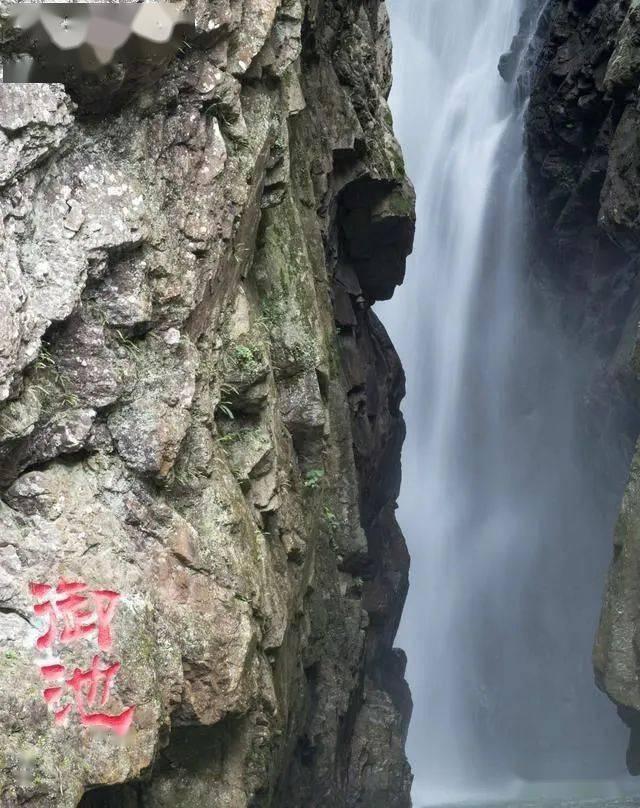 行尸走肉：米琼恩