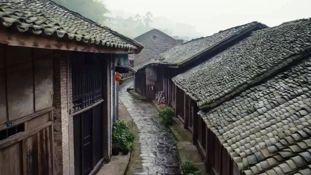 奥森弗里